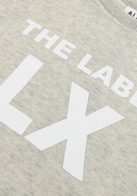 Hellgrau ALIX MINI Sweatshirt SPORTY SWEATER - large