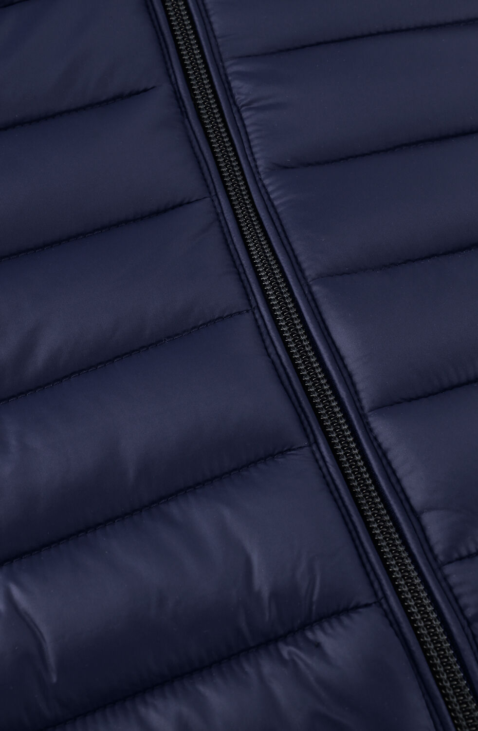 Dunkelblau SAVE THE DUCK Wattierte Jack ALEXANDER GIGA01 - large