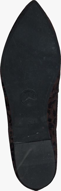 Braune OMODA Loafer 182722 HP - large