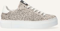 Beige MARUTI Sneaker Low TED Beige MARUTI Sneaker Low TED - medium
