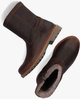 Braune PANAMA JACK Ankle Boots FEDRO IGLOO C10 - medium