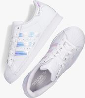 Weiße ADIDAS Sneaker low SUPERSTAR J - medium