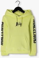Gelbe MALELIONS Sweatshirt HOODIE - medium