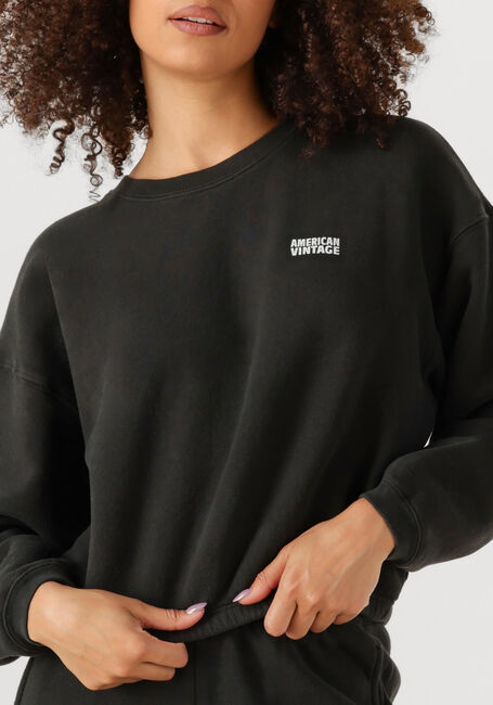 Dunkelgrau AMERICAN VINTAGE Pullover IZUBIRD - large