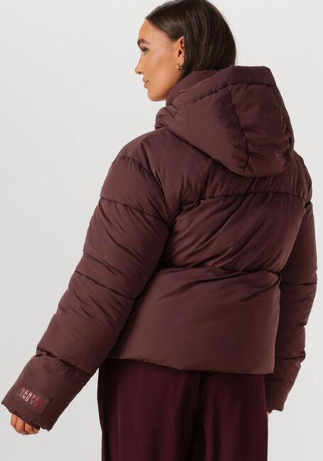 Mehrfarbige/Bunte HARPER & YVE Lederjack KARLY-CO - large