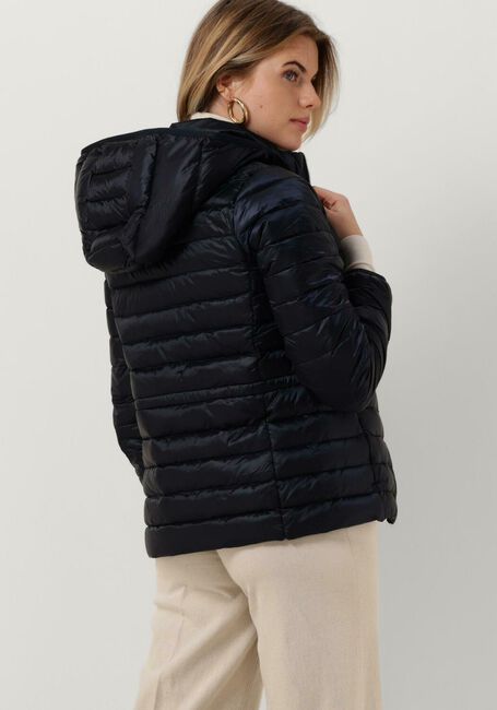 Dunkelblau TOMMY HILFIGER Wattierte Jack FEMININE LW DOWN JACKET - large