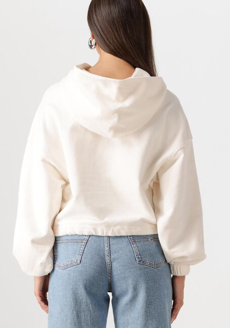 Ecru TOMMY JEANS Sweatshirt TJW CRP GMD SCRIPT HOODIE - large