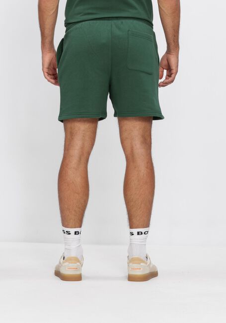 Gr&uuml;ne TOMMY JEANS Kurze Hose TJM S FLAG BEACH SHORT EXT - large