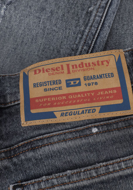 Graue DIESEL Skinny jeans 1995-J - large