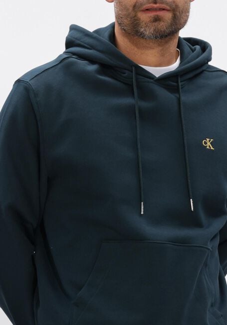 Petrol CALVIN KLEIN Sweatshirt LS 350TERRY EU MONOGRAM HOODIE - large