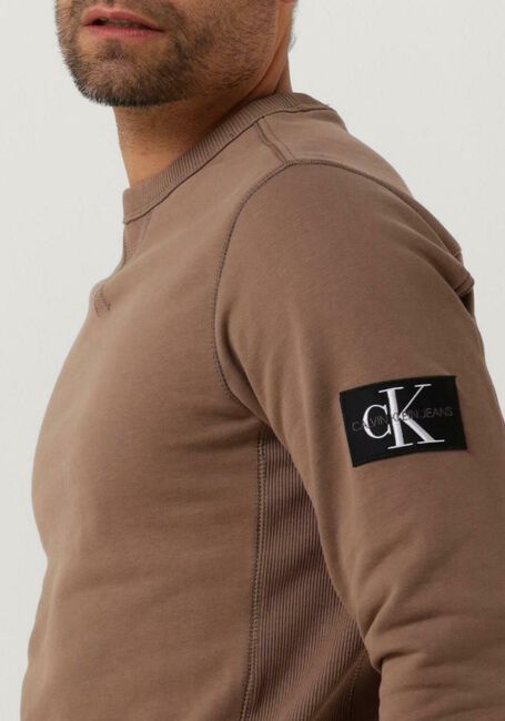 Braune CALVIN KLEIN Pullover MONOLOGO SLEEVE BADGE CN - large