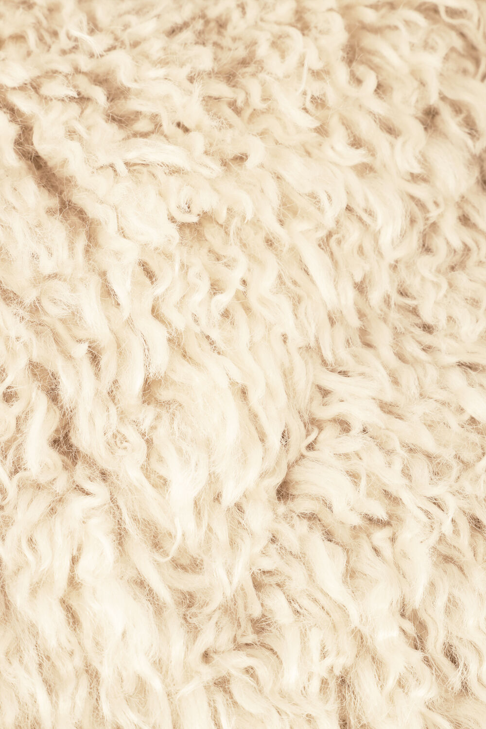 Beige SECOND FEMALE Teddy-Jacke OPHIE JACKET - large