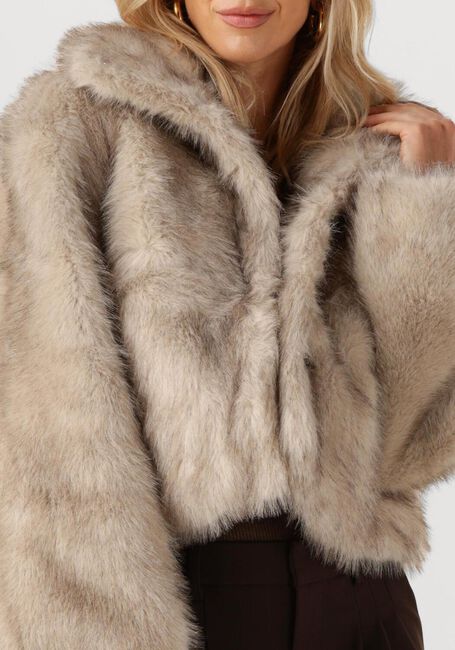 Beige NEO NOIR Fake-Fur-Jack STEFF FAUX FUR JACKET - large