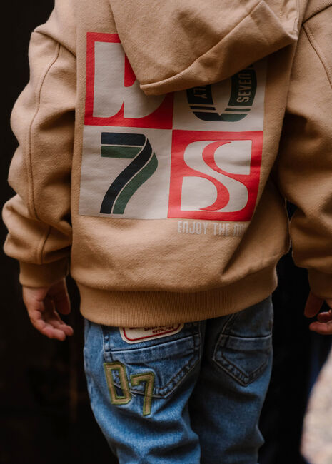 Braune DAILY7 Pullover & Cardigans HOODIE BACKPRINT D7 - large