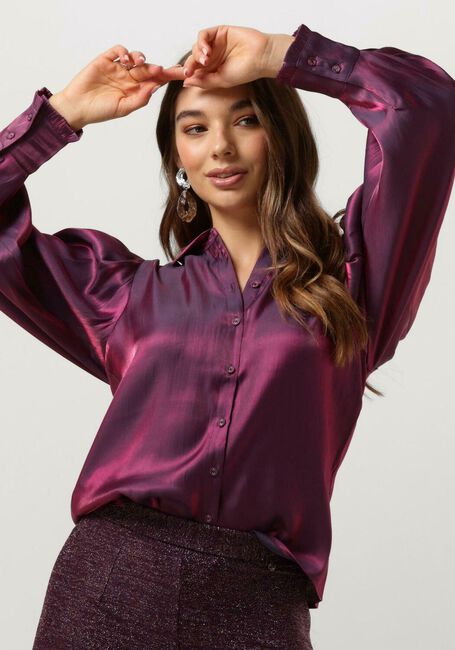 Bordeaux AAIKO Blusen DIANNE SHINE VIS 505 BLOUSES - large
