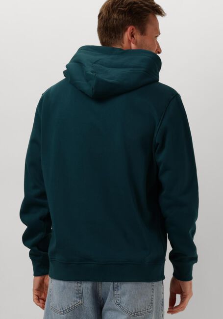 Grüne TOMMY JEANS Pullover & Cardigans TJM REG ESSENTIAL FLAG HOOD EXT - large