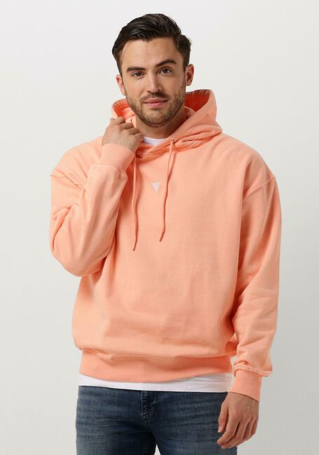 Koralle PURE PATH Pullover HOODIE WITH BACK PRINT AND SMALL FRONTPRINT - large