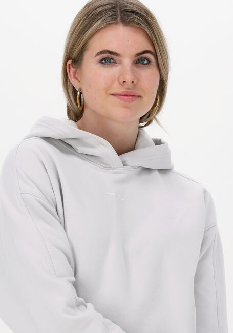 Hellgrau CALVIN KLEIN Pullover MICRO BRANDING HOODIE - large