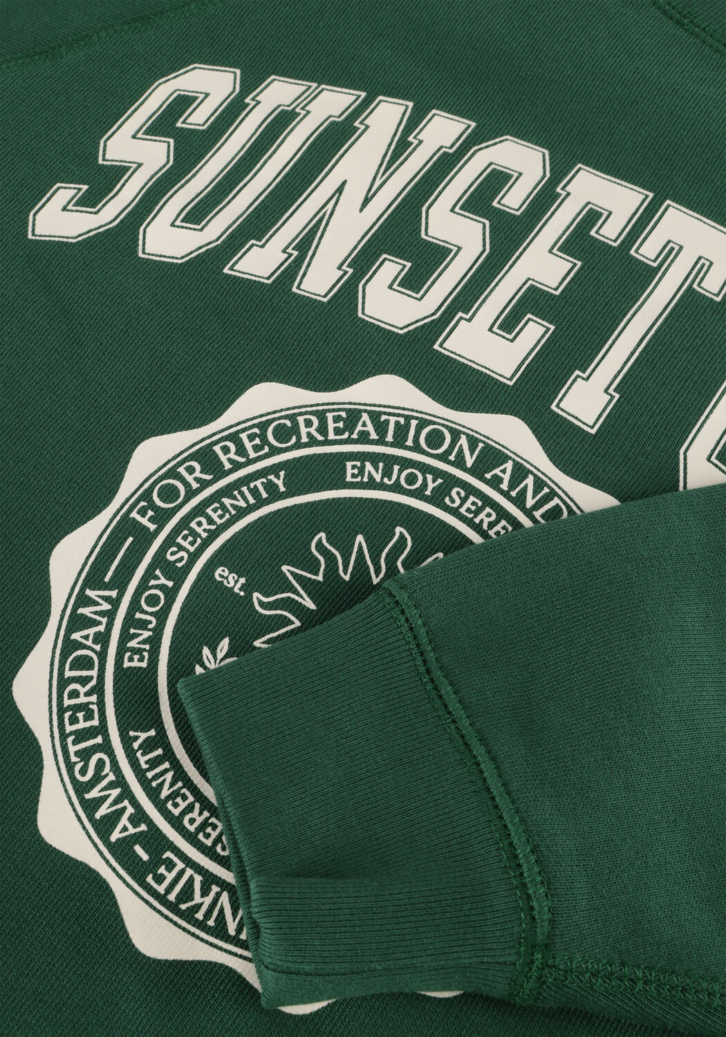 Dunkelgr&uuml;n CATWALK JUNKIE Sweatshirt GRAPHIC SWEATER - large