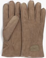 Grüne WARMBAT Handschuhe GLOVES WOMEN - medium