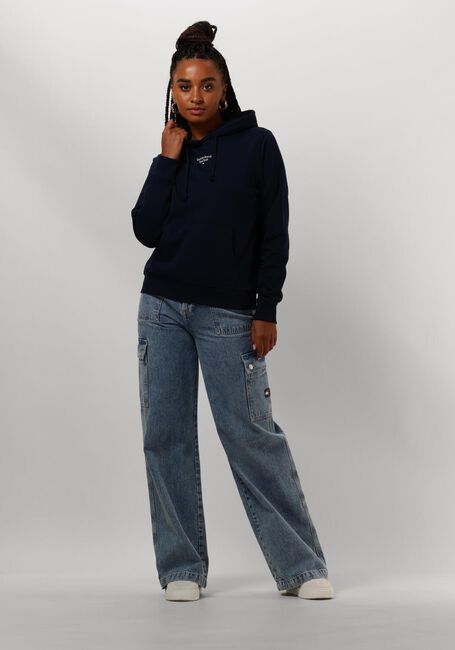 Dunkelblau TOMMY JEANS Pullover TJW ESSENTIAL LOGO 2 HOODIE - large
