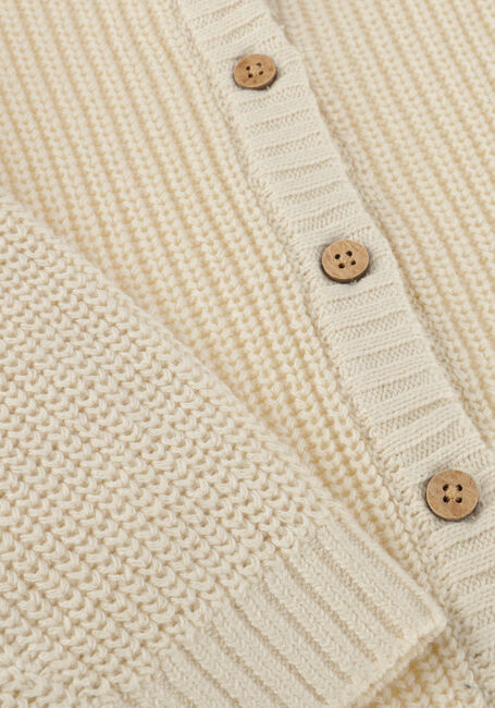 Beige LIL' ATELIER Strickjacke NMFEMLEN LEN LS KNIT CARD LIL - large