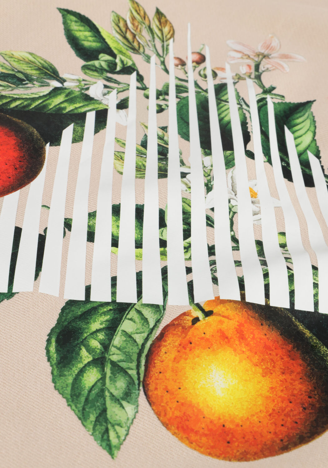 Sand PURE PATH Pullover CREWNECK WITH FNT AND BACK PRINT - large