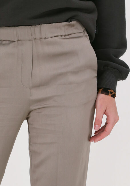 Taupe BELLAMY Hose LYNN TENCEL - large