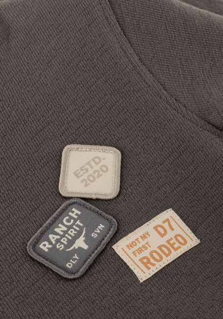 Graue DAILY7 T-shirt T-SHIRT BASIC BADGE - large