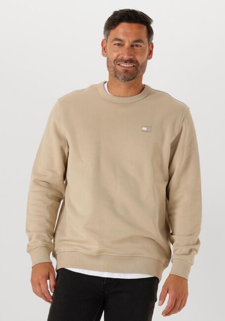Beige TOMMY JEANS Pullover TJM REG BADGE CREW EXT - large