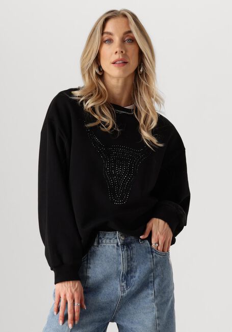 Schwarze ALIX THE LABEL Pullover LADIES KNITTED STRASS BULL - large