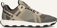 Grüne TIMBERLAND Sneaker Low WINSOR TRAIL LOW LACE UP Grüne TIMBERLAND Sneaker Low WINSOR TRAIL LOW LACE UP - medium
