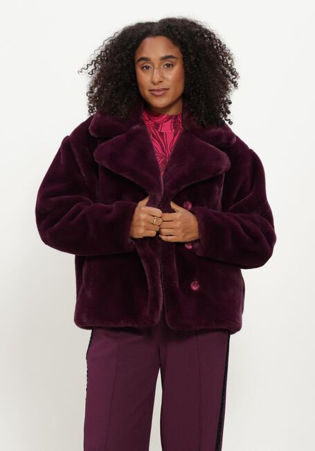 Bordeaux POM AMSTERDAM Fake-Fur-Jack CLEO DARK PLUM - large
