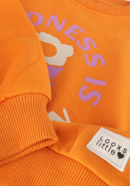 Orangene LOOXS Little Sweatshirt 2411-7325 - large