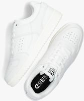 Weiße CRUYFF Sneaker low BASKET LOW - medium