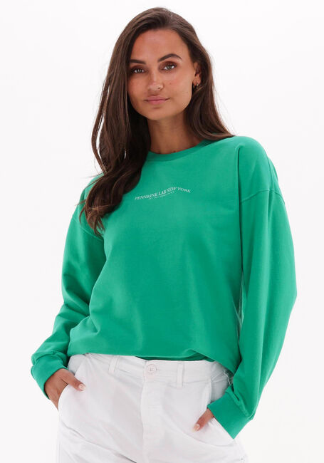 Grüne PENN & INK Sweatshirt S22F1103LAB - large