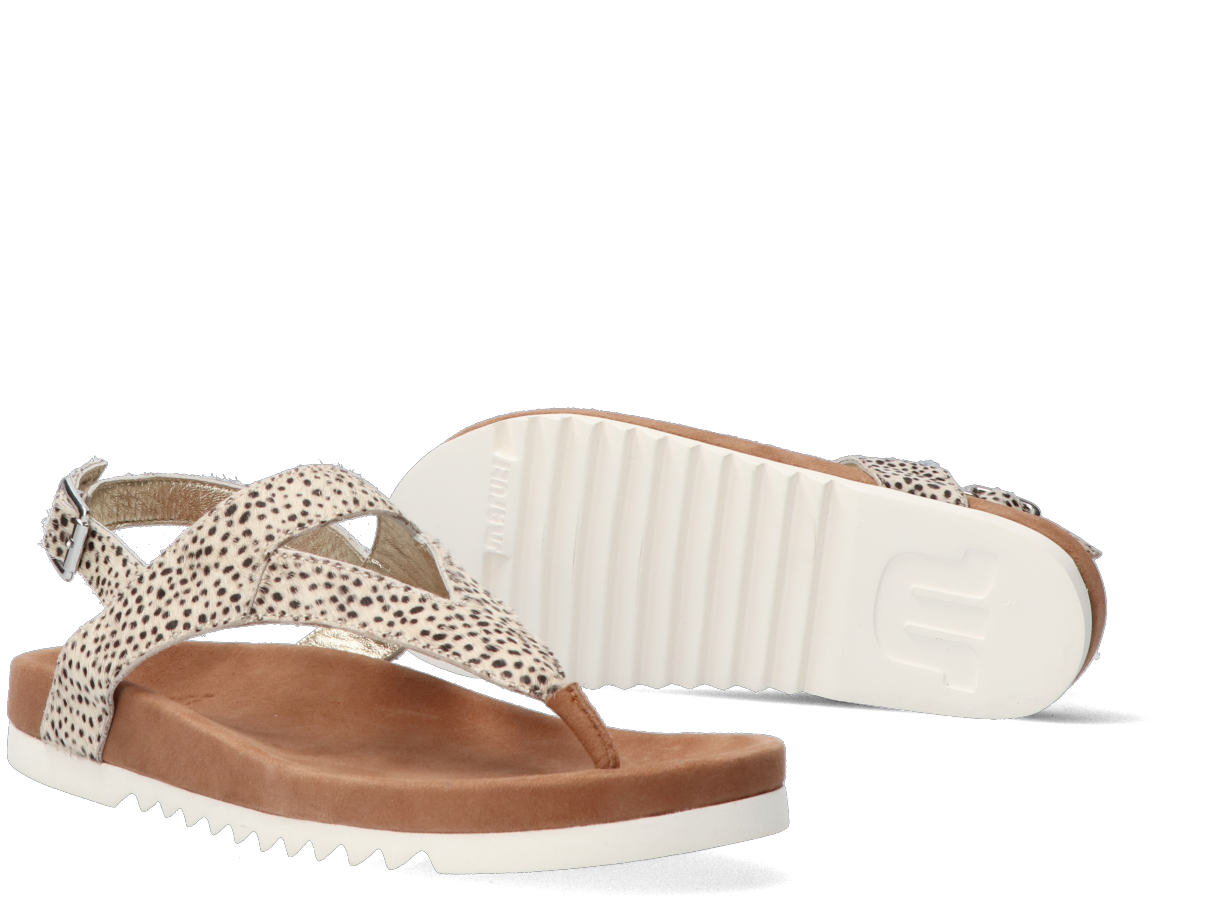 Schwarze CA'SHOTT Sandalen 10154 | Omoda