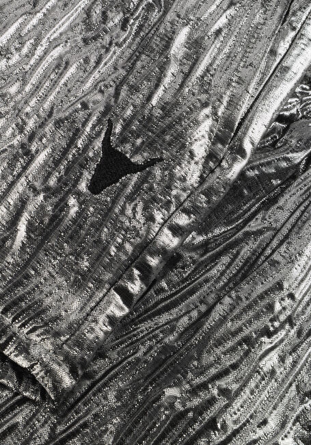 Silberne ALIX MINI Kurze Hose SILVER SHORTS - large