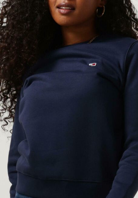 Blaue TOMMY JEANS Sweatshirt TJW REGULAR FLEECE C NECK - large