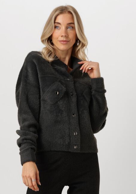 Graue JANSEN AMSTERDAM Strickjacke P263 VEST BENJA - large