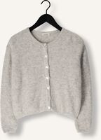 Hellgrau AMERICAN VINTAGE Strickjacke VITOW CARDIGAN Hellgrau AMERICAN VINTAGE Strickjacke VITOW CARDIGAN - medium