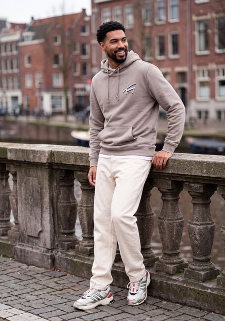 Sand TOMMY JEANS Sweatshirt TJM REG NYC SIGNATURE HOODIE EXT - large