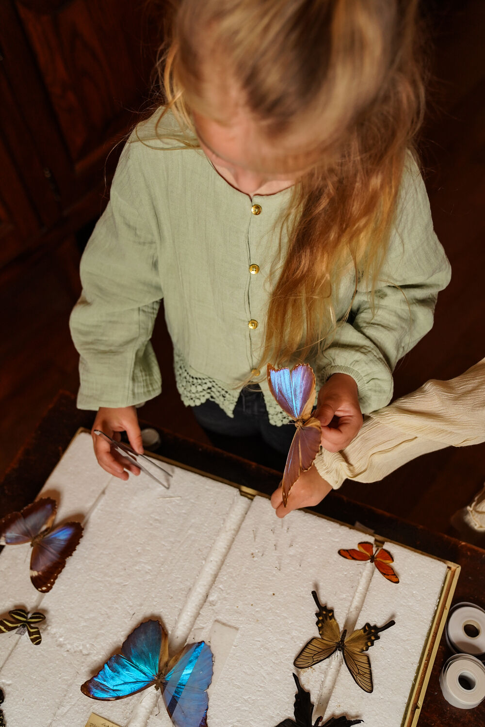 Minze KOKO NOKO Blusen O56961 - large