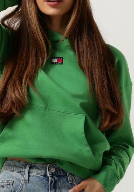 Grüne TOMMY JEANS Pullover TJW XS BADGE HOODIE - large