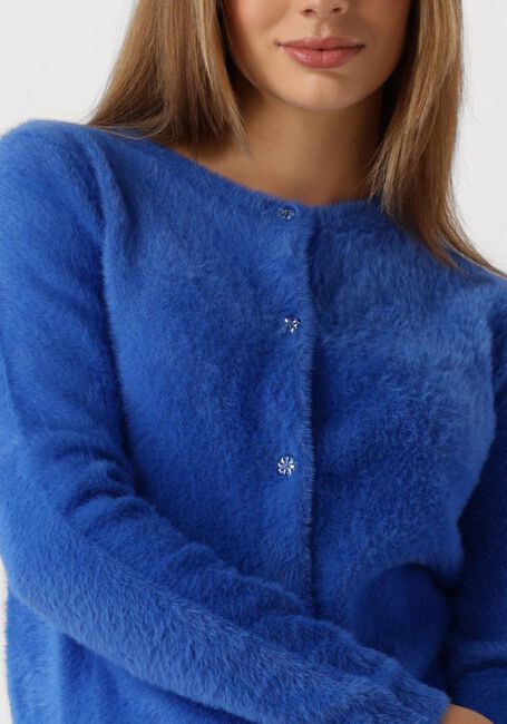 Blaue FABIENNE CHAPOT Strickjacke KATE CARDIGAN - large