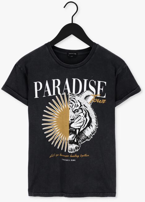 Dunkelgrau COLOURFUL REBEL T-shirt PARADISE TIGER ACID WASH BOXY TEE - large