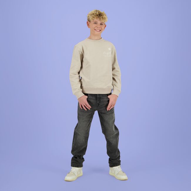 Beige RAIZZED Sweatshirt NILE - large