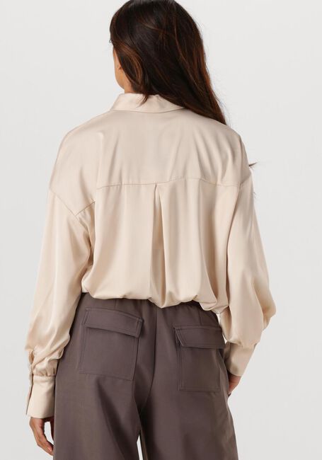 Beige ACCESS Blusen D54-7032-226 - large
