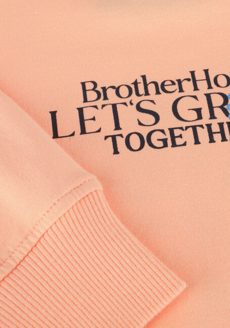Hell-Pink Z8 Sweatshirt ADREAN - large