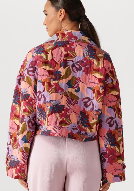 Mehrfarbige/Bunte AMAYA AMSTERDAM Jack 261-42 - large